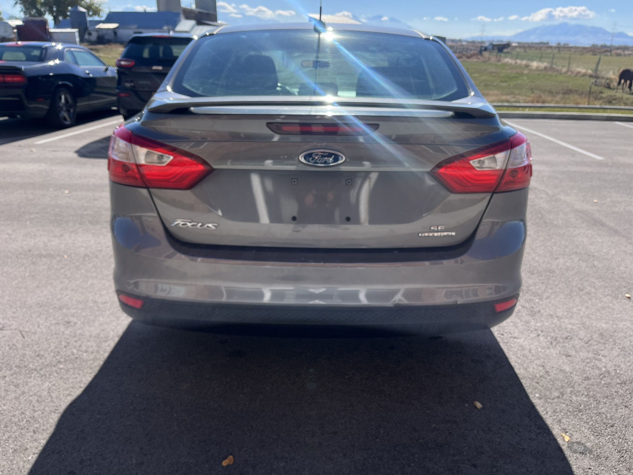 2014 Ford Focus Grey
