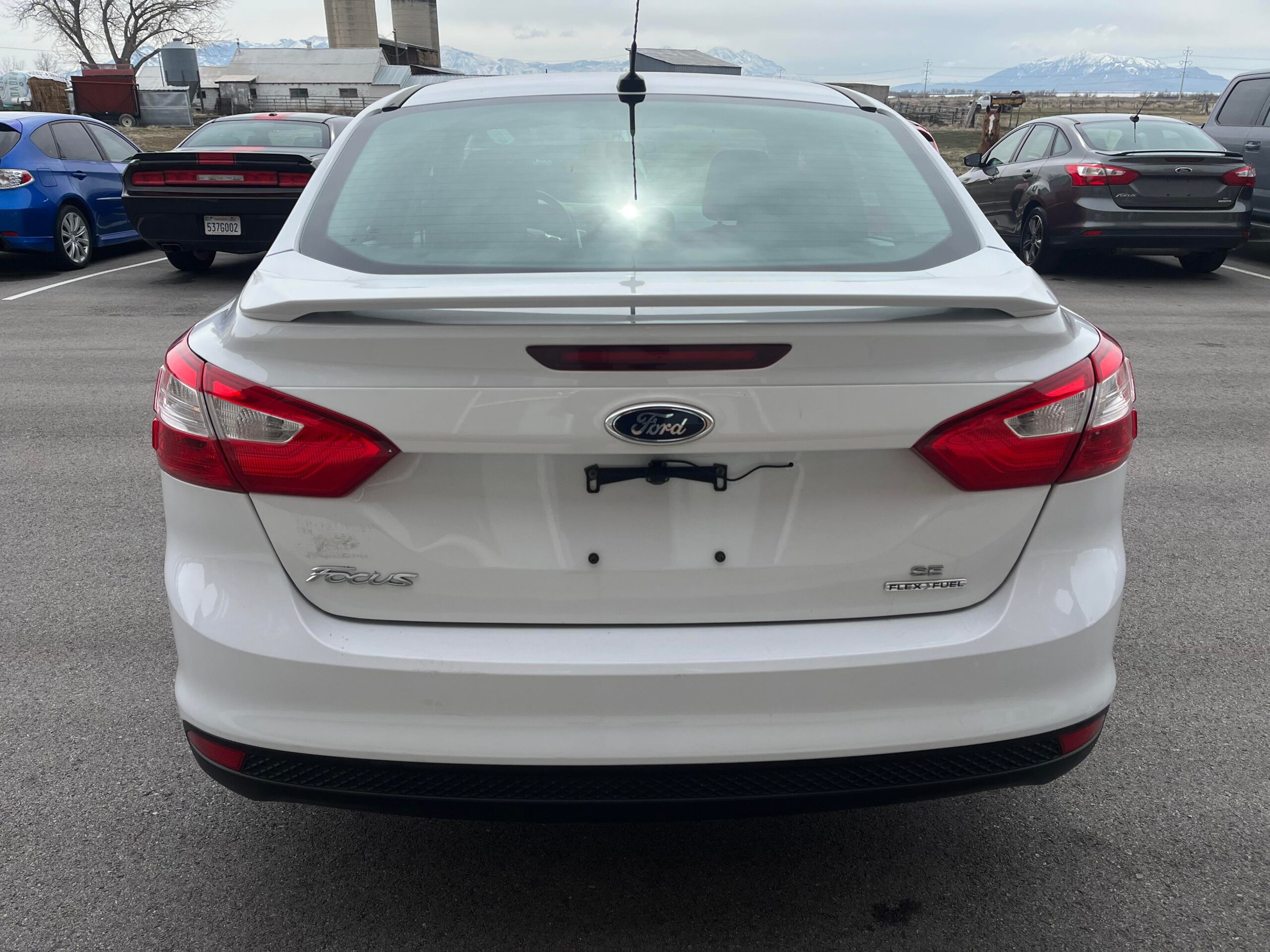 2014 Ford Focus SE Sedan 4D